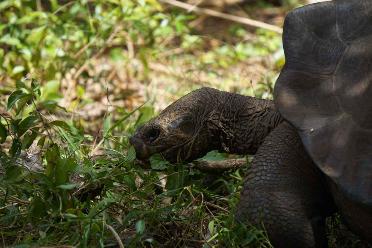 Eκουαδόρ 2024